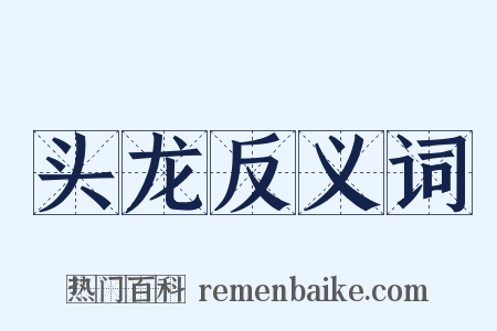 头龙反义词是什么意思的图片